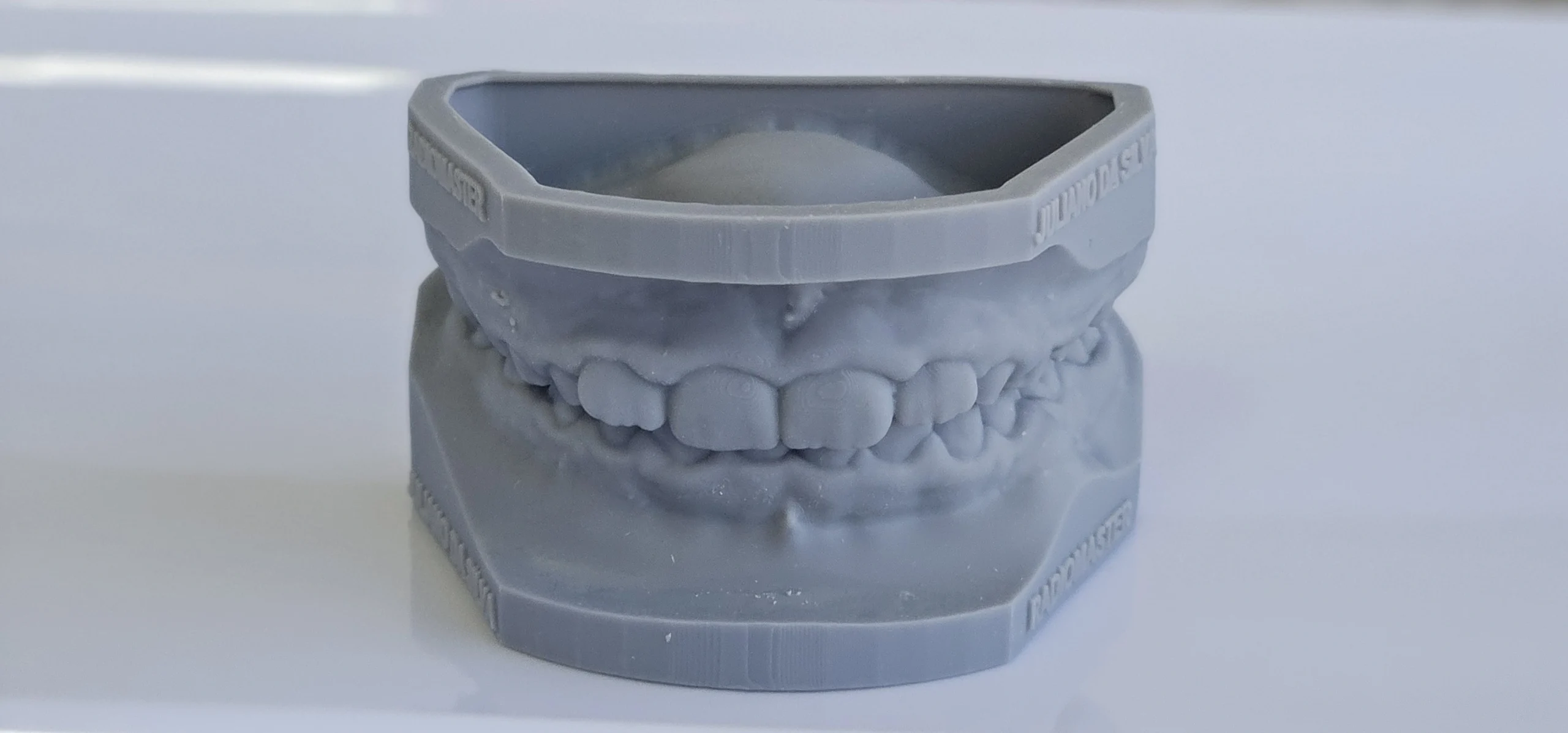 Modelos de estudo 3D
